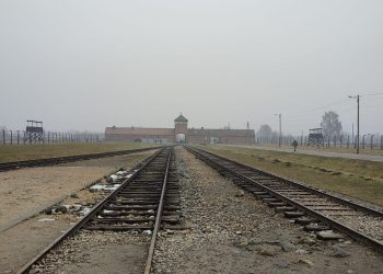 6f87cc98-a5db-4491-bc62-d87c09f7cfd6