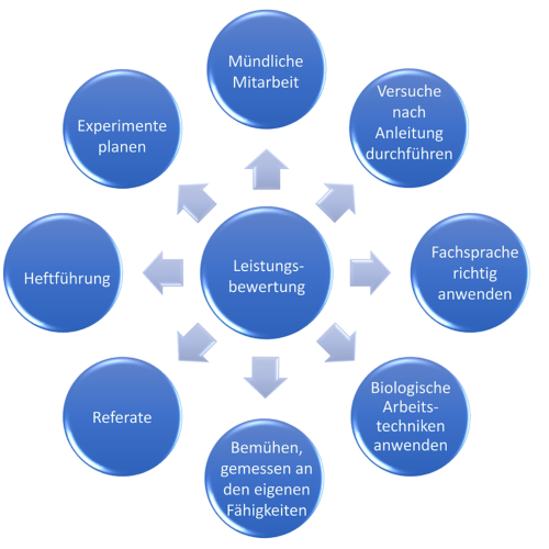 Leistungsbewertung Biologie