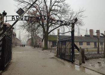 a8a033a6-60b1-4d8e-ae65-b04e3b7635ec