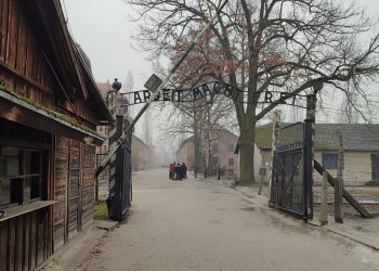 b4609c0c-669f-4aac-9933-34e83f6d7dc0