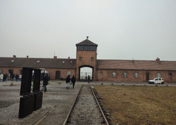 bd9d13c6-5f59-4be8-96e5-832f48dd66b2