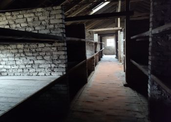 fedfdd3a-885b-41a3-b088-9bcb07040dd1